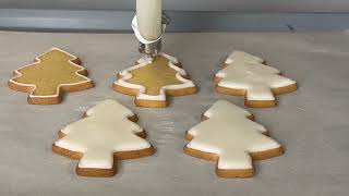 Decorated Cookies - BeeHex Automation Equipment 2024