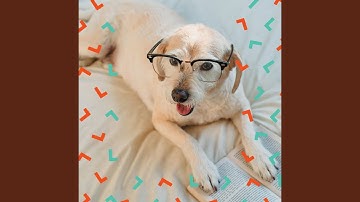 Pulsating Behaving Puppies