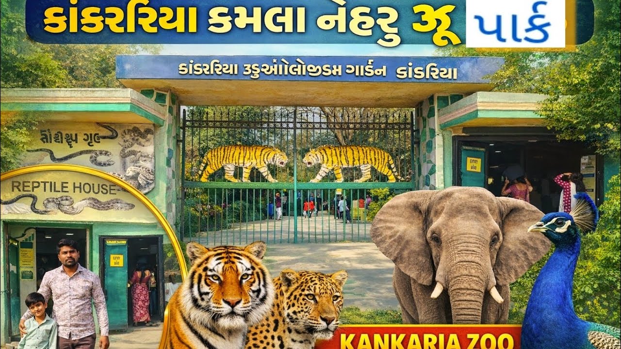 #અમદાવાદ કાંકરિયા કમલા નેહરુ ઝુ પાર્ક //Animals & Birds//ઝુ પાર્ક //ગુજરાતી વિડિઓ