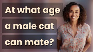 At what age a male cat can mate?