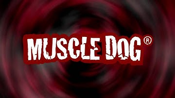 MuscleDog.com Presents: Tricep Cable Press Down