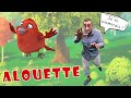 Alouette gentille alouette  comptine pour enfants