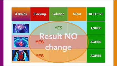 The Science Of 3 Brains: How To Align Head, Heart, And Gut For Life-Changing Results