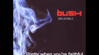 Bush-Inflatable(Lyrics) chords