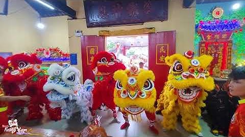 Lễ Khai Quang Điểm Nhãn Lân Sư Rồng Chấn Nghĩa Đường -  Cúng Chùa Bà Bình Dương Xuân Giáp Thìn 2024