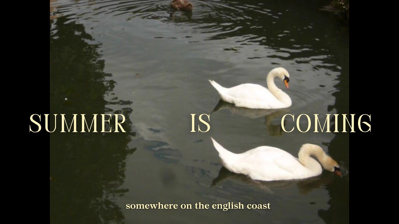 While you wait for summer...