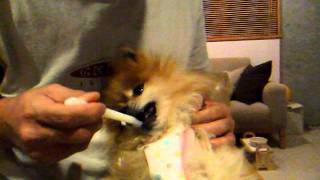 DSCF5994.AVI