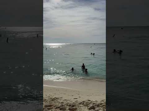 Cayman Life
