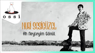 Nuri Sesigüzel - Ah Neyleyim Gönül Resimi