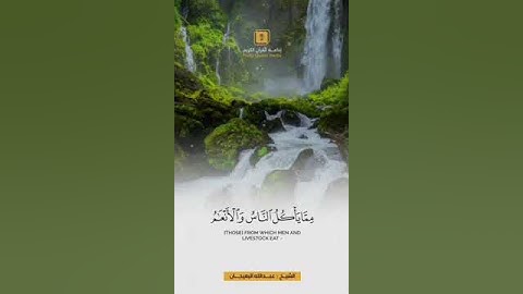 تلاوة للقارئ: الشيخ عبدالله البعيجان