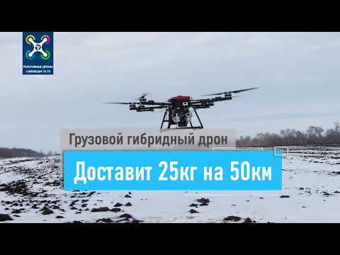 Грузовой гибридный дрон Reactive Drone RDHC2015