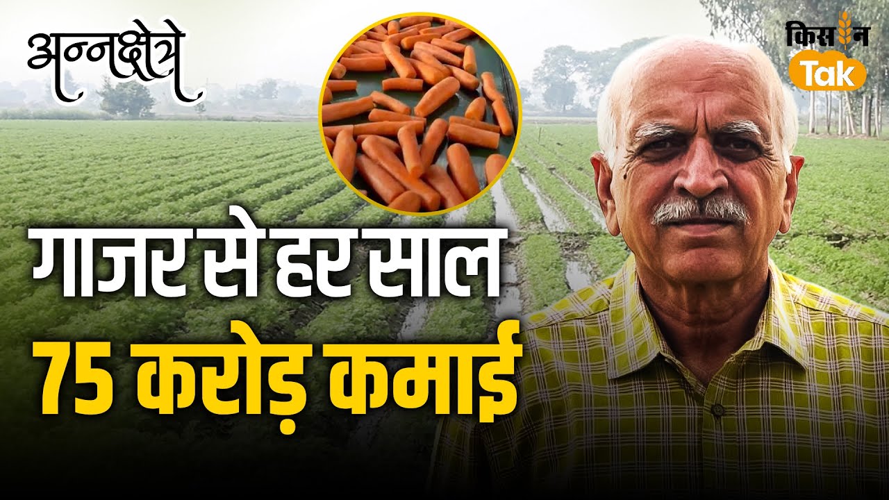 देखें Carrot King Subhash Deswal की कहानी, गाजर उगाकर कैसे हुए मालामाल #annakshetre EP-15