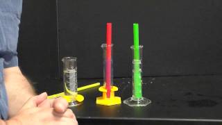 Canu Equilibrium Model Lab