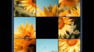 Unroll ball-06-0126 screenshot 5