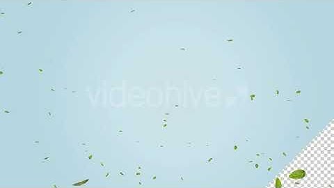Green Leaf Falling | Motion Graphics - Envato elements