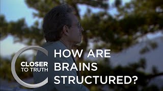 How are Brains Structured? | Episode 105 | Closer To Truth