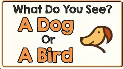 12 ILLUSIONS THAT WILL TEST YOUR BRAIN 😲😲