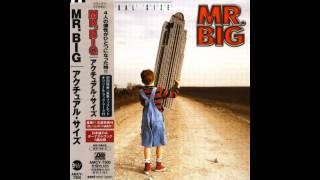 Vignette de la vidéo "Mr. Big - I Don't Want To Be Happy"