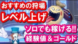 ドラクエ10 実況「レベル上げにおすすめの狩場！ソロでも稼げる穴場は？」