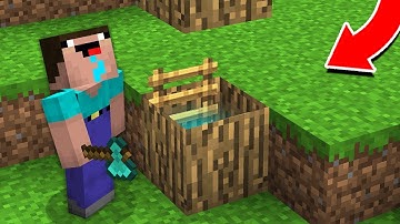 Minecraft NOOB vs PRO : NOOB BROKE WOOD AND FOUND THIS SECRET TREE ENTRANCE! (Animation)