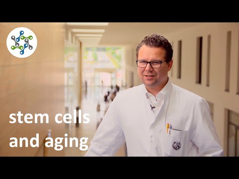 Stem cells and aging