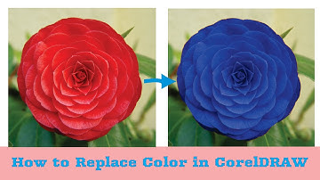 How to replace color in CorelDRAW