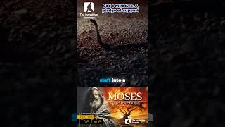 Download Lagu Witness the Miraculous Journey of Faith! MP3