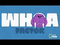 Beginning of video