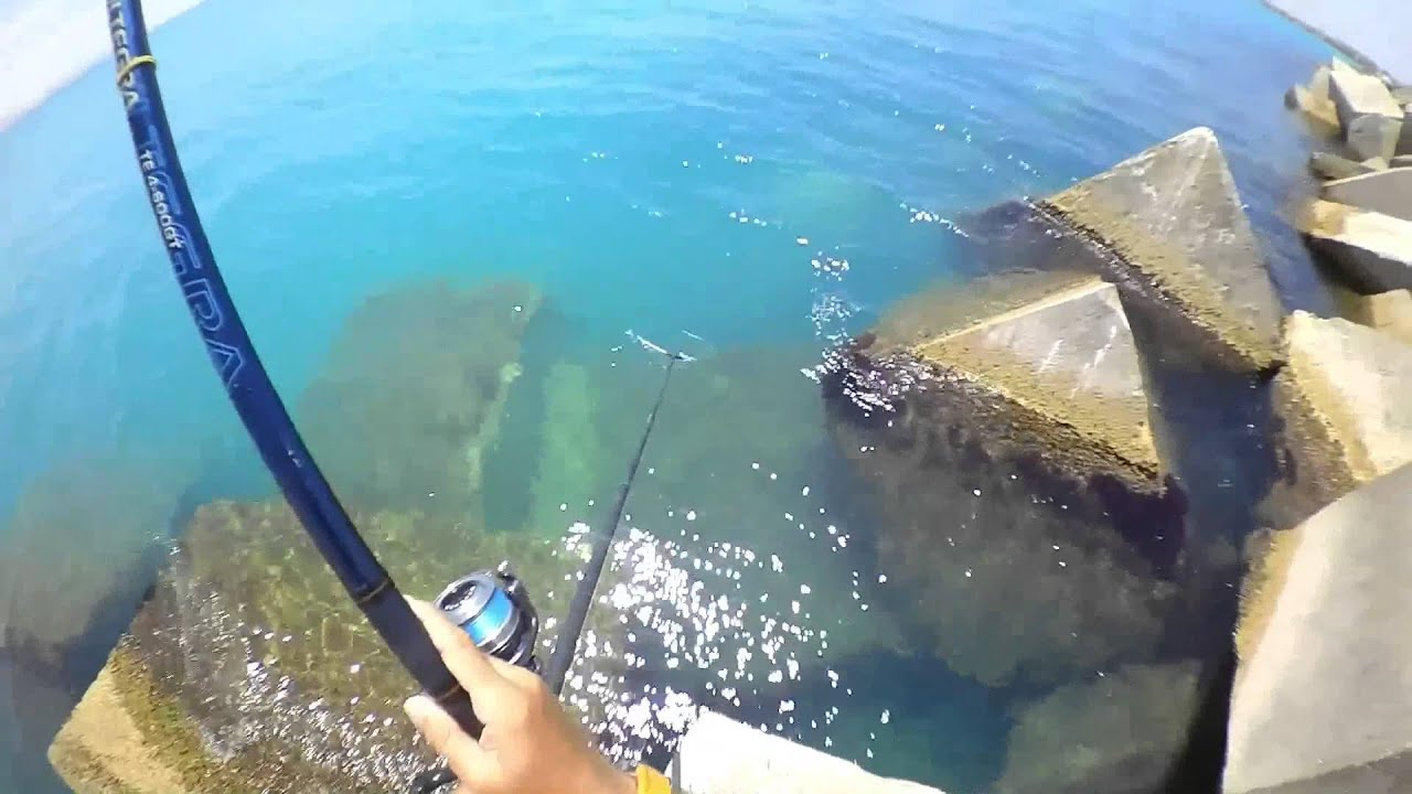 Pesca Con Il Pane In Acqua Dolce