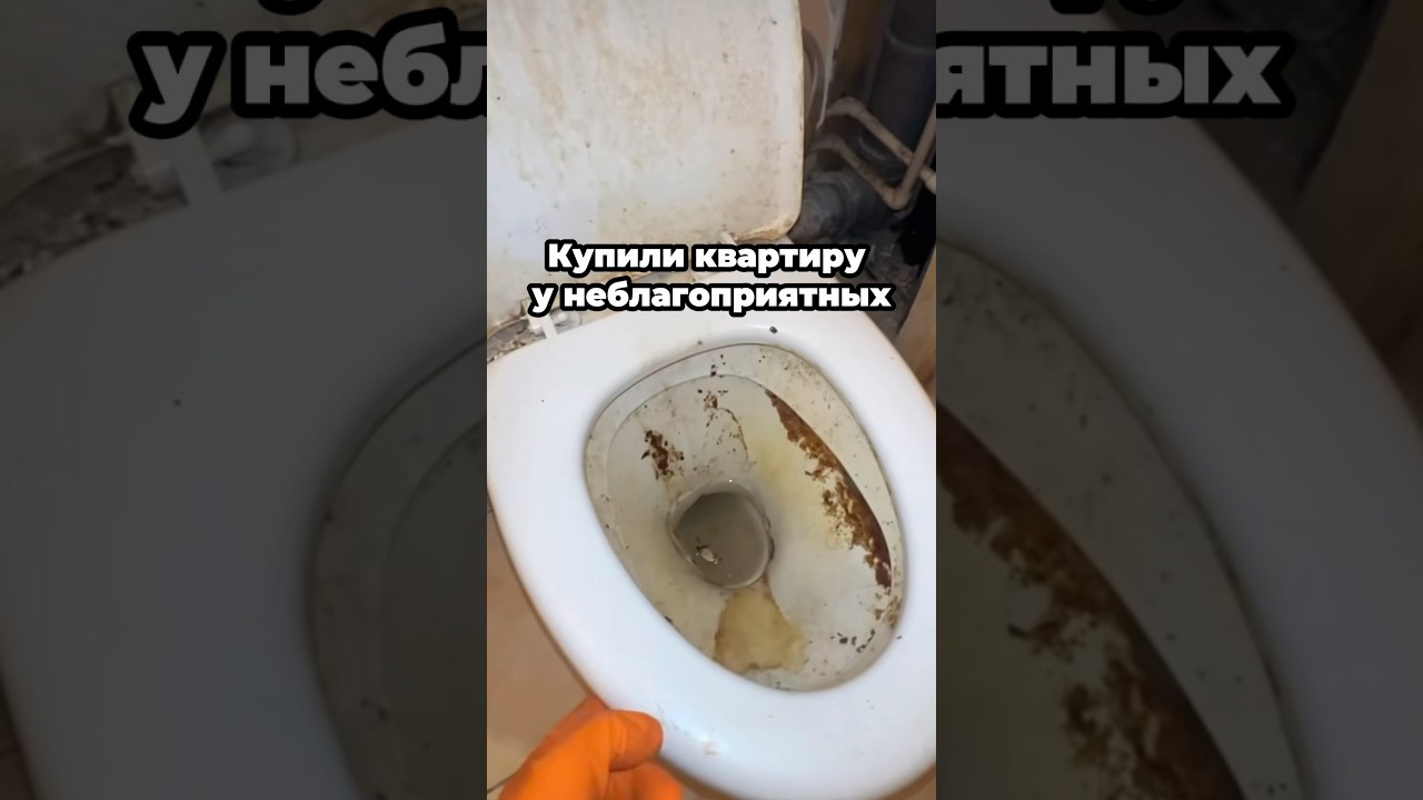 Артикулы WB: 