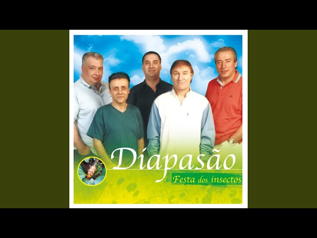 DIAPASAO - UMA MULHER NA CIDADE