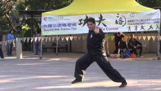 香港功夫表演2017012231
