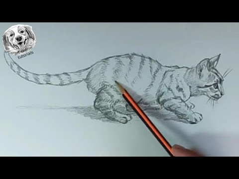 Learn to Draw Animals Kids How to Sketch Animals for Beginners 123 Draw  Cute Animals How to Draw Animals Hard How to Sketch Cute Animals How to   With Easy How to