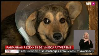 Pārmaiņas Rēzeknes dzīvnieku patversmē