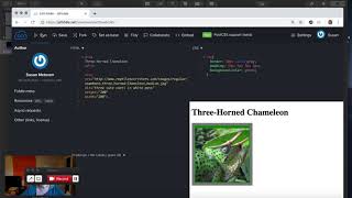 4.4  CSS Padding