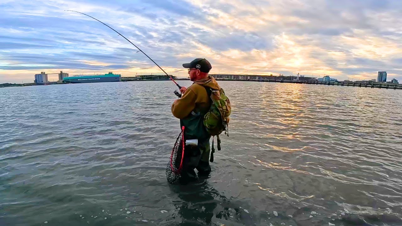 Lure Fishing For Bass – Southampton  – The Solent!