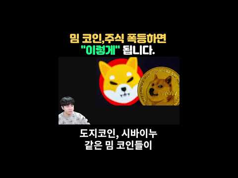   밈주식 밈코인이 폭등하면 이렇게 됩니다