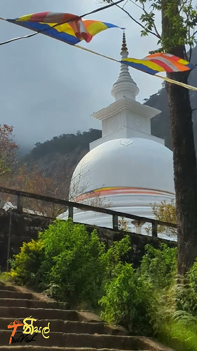 https://www.tiktok.com/@senzi_boy?_t=ZS-8uixyN3zNBZ&_r=1