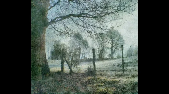 Sarah Jarrett - From Autumn to Winter...