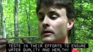 Forestry Career Overview