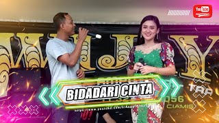 BIDADARI CINTA - SASHA NESYA X HASAN SULING - WIJAYA ENTERTAINMENT