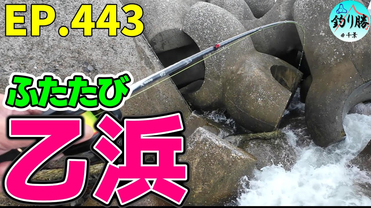 EP.443 南房穴釣り 尺オーバーを釣った乙浜に再び釣行