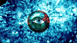 Trees Speak - Elements of Matter (Official Video)