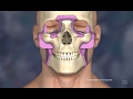 Mayo Clinic’s First Face Transplant: The Surgery