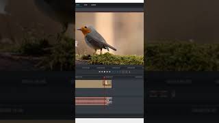 Lightworks Tutorial: How to Fade In and Out Audio in Lightworks