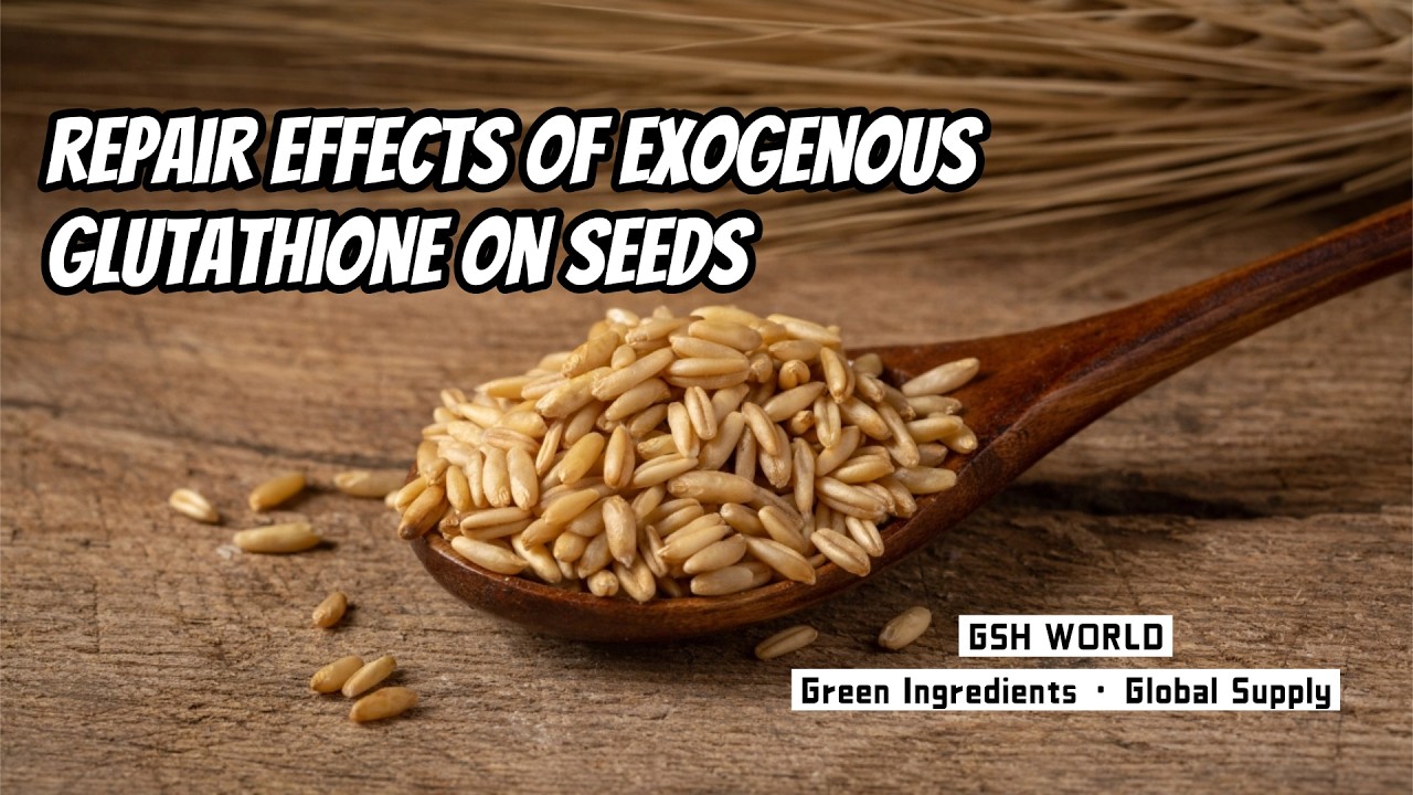 exogenous glutathione Repair Effects of on Seeds gluten free Sharps Bin:Black Vitamin B12 injection,Vitamins &