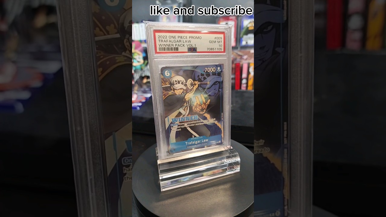 Law winner from one piece card game 