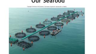 CH 7 S 7 3  recorded Lecture