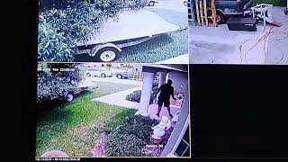 FedEx driver kills rattlesnake for homeowner. Fedex Driver Kills Rattlesnake