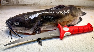 The ONLY CATFISH FILLET Tutorial You